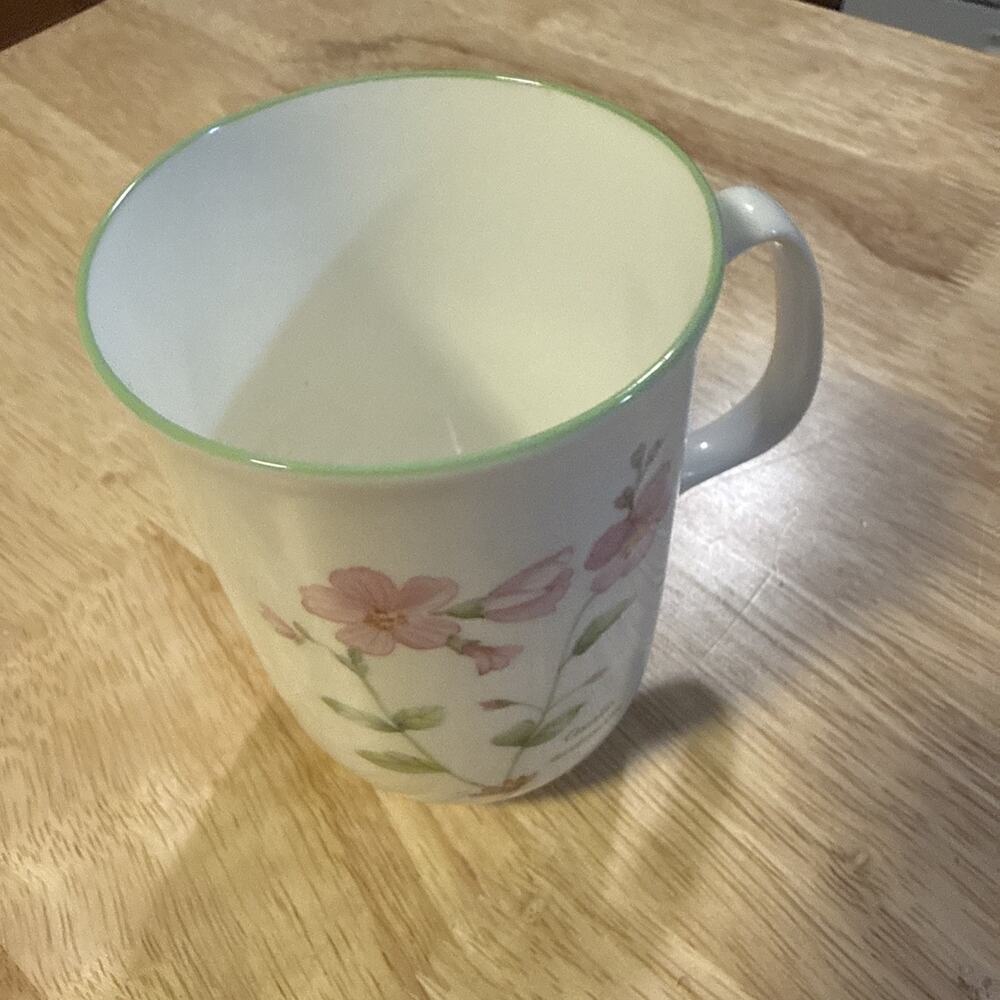 Rose Of England Tea Cup Oxalis Articulata Illustration Bone China Coffee Tea